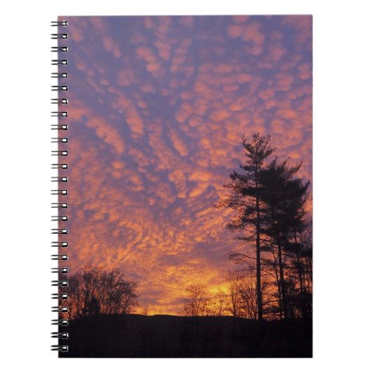 Schönes rosafarbenes Orangenwolken Sonnenaufgang F Notizblock (Vorderseite)