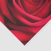 Schönes Rosen-Blumen-Seidenpapier Seidenpapier (Ausschnitt)