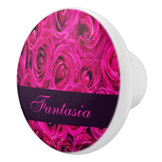 Schönes Rosenmonogramm Keramikknauf (Rechts)