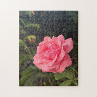 schönes Rosenpuzzle  Puzzle
