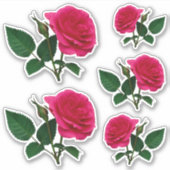 Schönes rote Rose Foto Transparent CC1145 Aufkleber (Vorderseite)