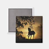 Schönes Running Horn im Sunset Magnet (Vorderseite/Rückseite)