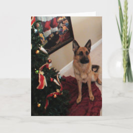 Schönes Schäferhund-Weihnachten Feiertagskarte