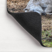 Schönes Schlafen Weiße Mare Ranch Pferd Mousepad (Ecke)