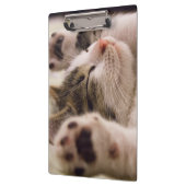 Schönes Schlafkätzchen Klemmbrett (Links)