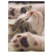 Schönes Schlafkätzchen Klemmbrett (Rückseite)