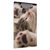 Schönes Schlafkätzchen Klemmbrett (Rechts)