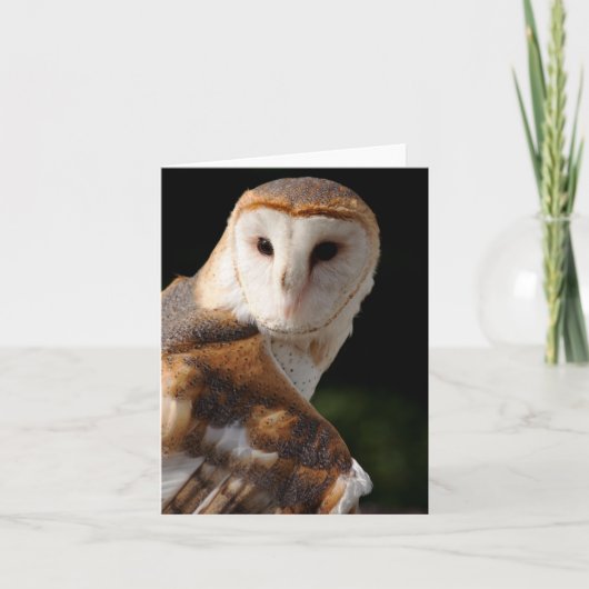 Schönes Schleiereule notecard Karte (Vorderseite)