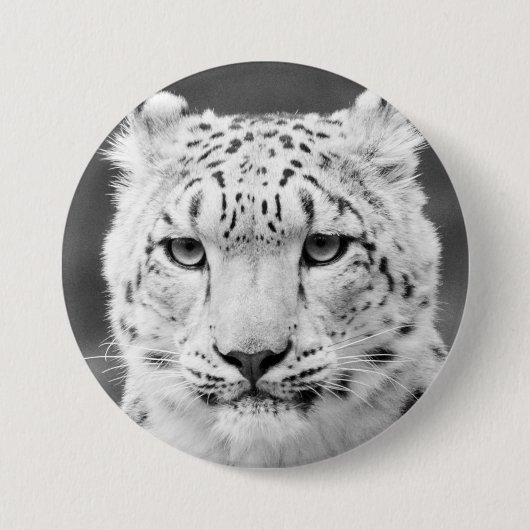 Schönes Schnee-Leopard-Schwarzweiss-Porträt Button (Vorderseite)