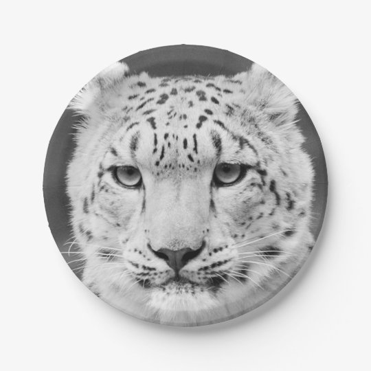 Schones Schnee Leopard Schwarzweiss Portrat Pappteller Zazzle De