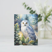 Schönes Schneeauwl Postkarte (Stehend Vorderseite)