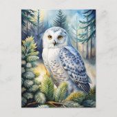 Schönes Schneeauwl Postkarte (Vorderseite)