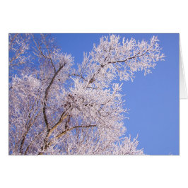 Schönes Schneeszene Foto