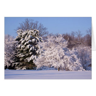 Schönes Schneeszene Foto