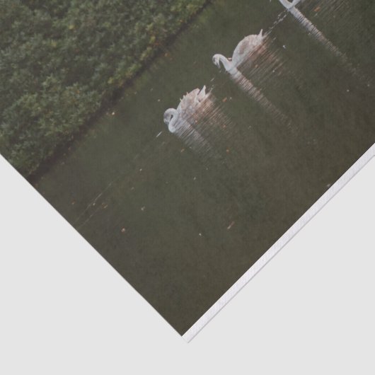 Schönes Schwanenpapier Seidenpapier (Ausschnitt)