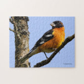 Schönes Schwarz-Headed Grosbeak in einem Baum Puzzle (Horizontal)