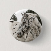 Schönes Schwarz-Weiß Appaloosa Pferd Button (Vorderseite)