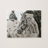 Schönes Schwarz-Weiß Appaloosa Pferd Puzzle (Horizontal)