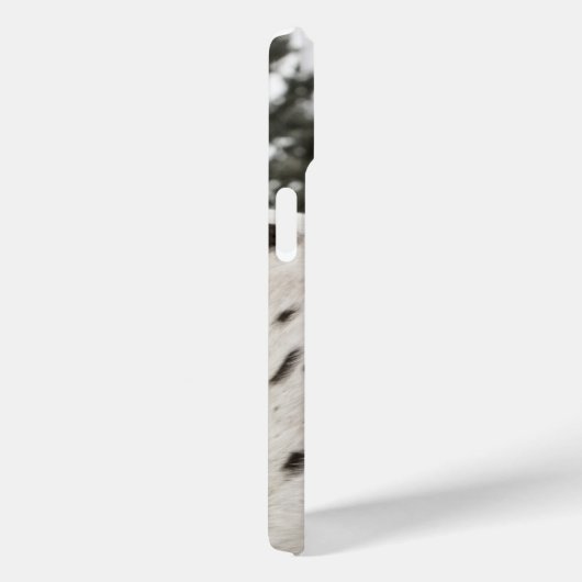 Schönes Schwarz-Weiß Appaloosa Pferd, Western Case-Mate iPhone Hülle (Rückseite / Rechts)