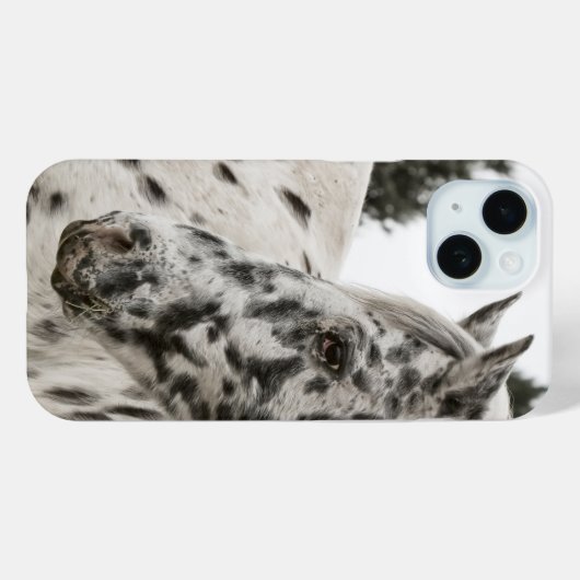 Schönes Schwarz-Weiß Appaloosa Pferd, Western Case-Mate iPhone Hülle (Rückseite (Horizontal))
