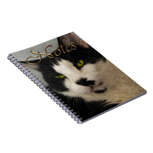 Schönes Schwarz-Weiß Cat Art Portrait Notizblock (Rechte Seite)