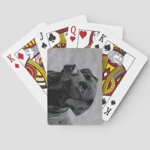 Schönes Schwarz-Weiß-Foto eines Schwarzen Labrador Spielkarten