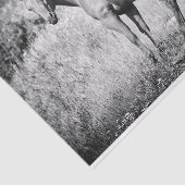 Schönes Schwarz-Weiß-Papier Seidenpapier (Ausschnitt)