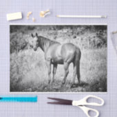 Schönes Schwarz-Weiß-Papier Seidenpapier (Handwerk)