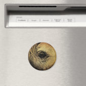 Schönes Schwarzes Auge Magnet (In Situ (Geschirrspüler))