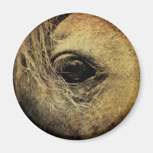 Schönes Schwarzes Auge Magnet (Vorne)