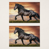 Schönes Schwarzes Pferd (Vorne & Hinten)