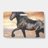 Schönes Schwarzes Pferd Ausweis (Rückseite)