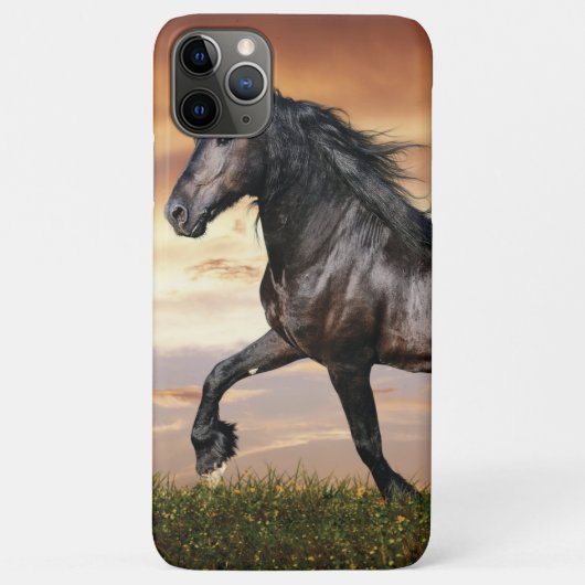Schönes Schwarzes Pferd Case-Mate iPhone Hülle (Rückseite)