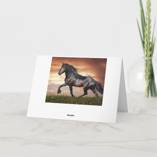 Schönes Schwarzes Pferd Dankeskarte (Rückseite)