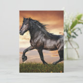 Schönes Schwarzes Pferd Einladung (Stehend Vorderseite)