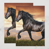 Schönes Schwarzes Pferd Einladung (Vorne/Hinten)