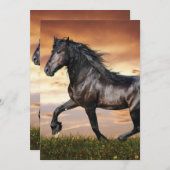 Schönes Schwarzes Pferd Feiertagskarte (Vorne/Hinten)