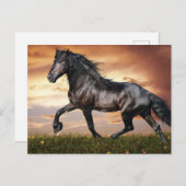 Schönes Schwarzes Pferd Feiertagspostkarte (Vorne/Hinten)