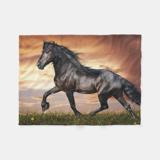 Schönes Schwarzes Pferd Fleecedecke (Vorderseite (Horizontal))
