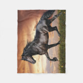 Schönes Schwarzes Pferd Fleecedecke (Vorderseite)