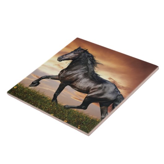 Schönes Schwarzes Pferd Fliese (Seite)