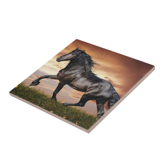 Schönes Schwarzes Pferd Fliese (Seite)