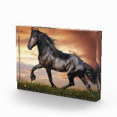 Schönes Schwarzes Pferd Fotoblock (Rechts)