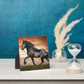 Schönes Schwarzes Pferd Fotoplatte (InSitu)