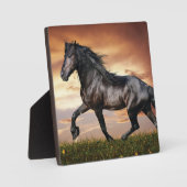 Schönes Schwarzes Pferd Fotoplatte (Vorderseite)