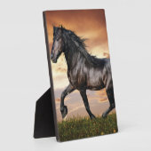 Schönes Schwarzes Pferd Fotoplatte (Seite)