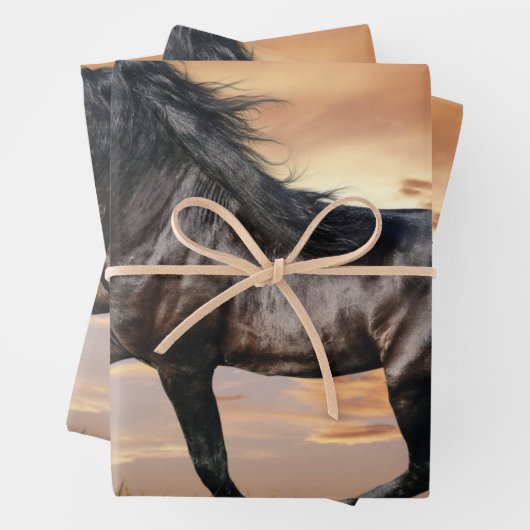Schönes Schwarzes Pferd Geschenkpapier Set (Beispiel)
