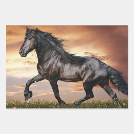 Schönes Schwarzes Pferd Geschenkpapier Set (Vorderseite)