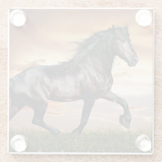 Schönes Schwarzes Pferd Glasuntersetzer (Rückseite)