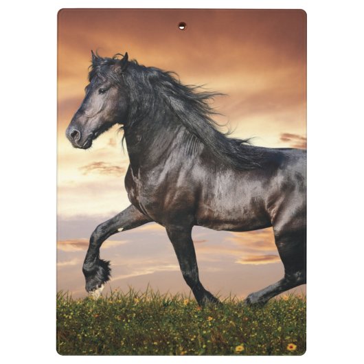 Schönes Schwarzes Pferd Klemmbrett (Rückseite)